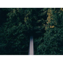 Lightweight Wooden Bottle fr-FR